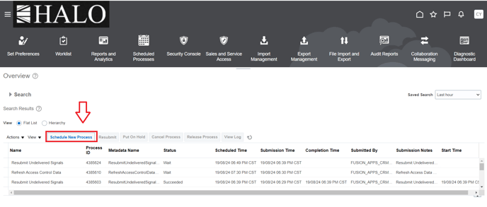 15. Click on Schedule New Process