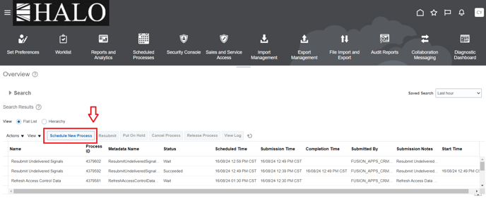 17. Click on Schedule New Process