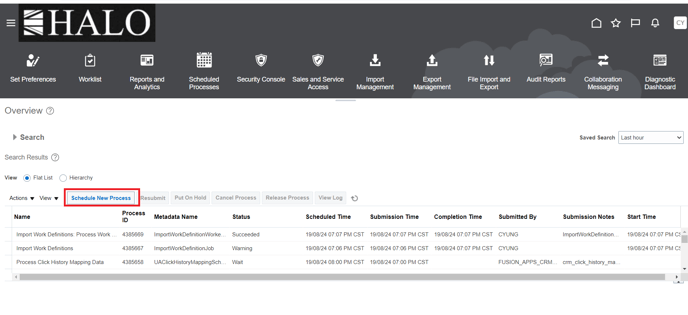 30. Now click again on Schedule New Process