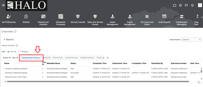 8. Click on schedule new process.